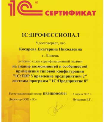 1C Профессионал по ERP