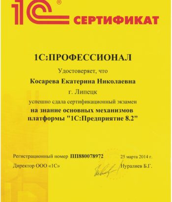 1C Профессионал по платформе