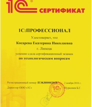 1C Профессионал по технологическим вопросам